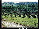 20091212_13_03_sonoe_01_projector_128x96
