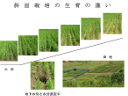 20100417_14_04_nishimaki_01_projector_Page_27_128x96
