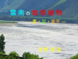 20110709_19_04_yoshino_projector